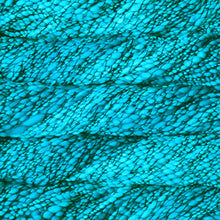 Load image into Gallery viewer, malabrigo: Caracol
