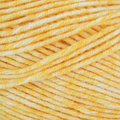 Load image into Gallery viewer, Cascade Yarns: Sarasota