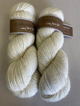 Load image into Gallery viewer, Plymouth Yarn: Dye for Me