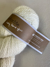 Load image into Gallery viewer, Plymouth Yarn: Dye for Me