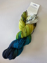 Load image into Gallery viewer, Round Mountain Fibers: The acquatic
