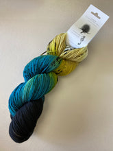 Load image into Gallery viewer, Round Mountain Fibers: The acquatic