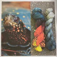 Load image into Gallery viewer, Round Mountain Fibers: The acquatic