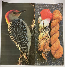 Load image into Gallery viewer, Round Mountain Fibers: Ornithology Collection