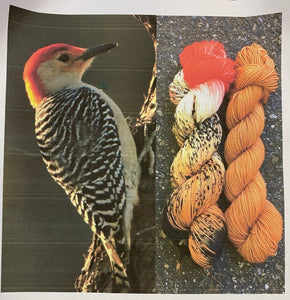 Round Mountain Fibers: Ornithology Collection
