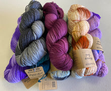 Load image into Gallery viewer, ARAUCANIA HUASCO SOCK