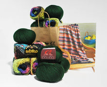 Load image into Gallery viewer, Noro-Kit Woven Stitch Blanket in Taiyo/Cozy Soft Chunky