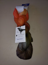 Load image into Gallery viewer, Round Mountain Fibers: Ornithology Collection