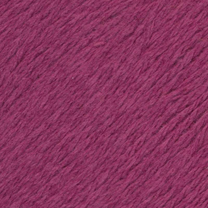 Queensland Collection: United