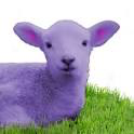 Load image into Gallery viewer, Purple Lamb: Sparkly Merino Sock