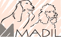 MADIL Yarns: Kid SETA (discontinued)