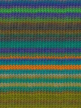 Load image into Gallery viewer, Katia: Darling Rainbow