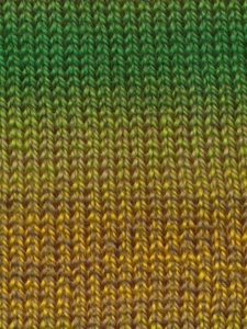 EYB: Kaleido Scope (Worsted)